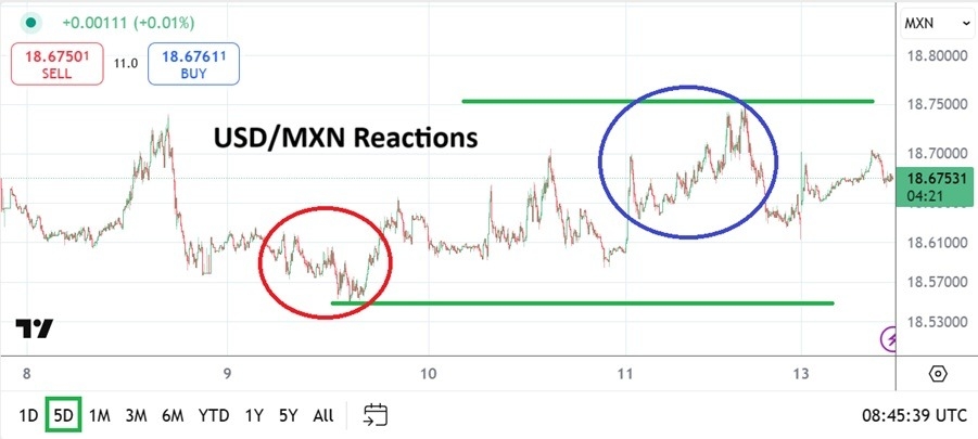 【XM Market Analysis】--USD/MXN Analysis: Speculative Dilemma as Near-Term Risk Events Loom(图1)