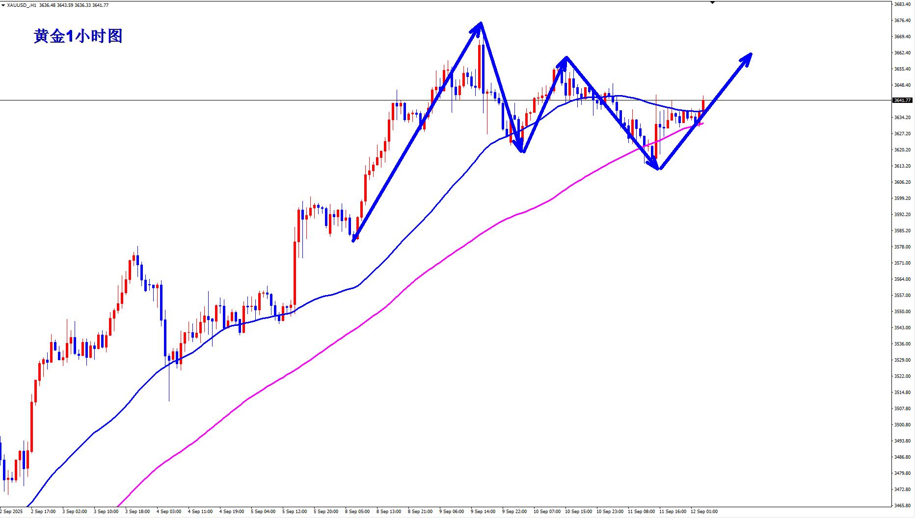 【XM Group】：黄金多头气势如虹，早盘继续多！(图3)