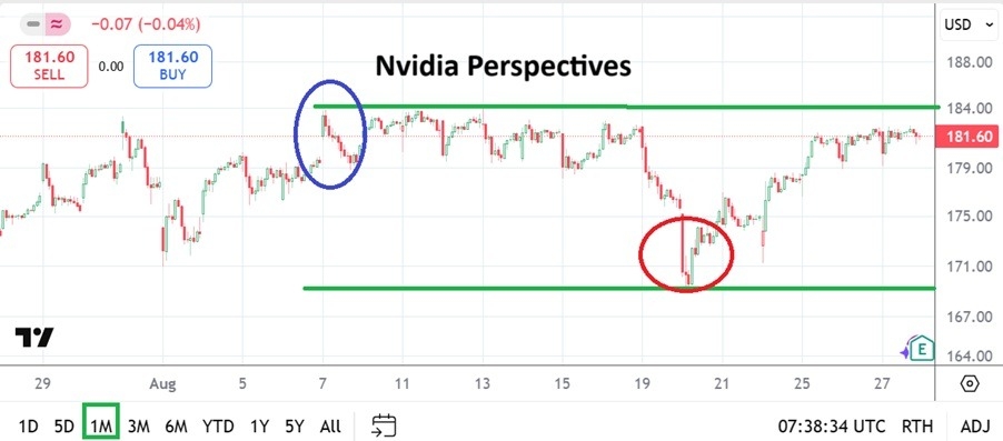 【XM Market Review】--Nvidia Analysis: Wagering Decisions Battle Investment Considerations(图1)
