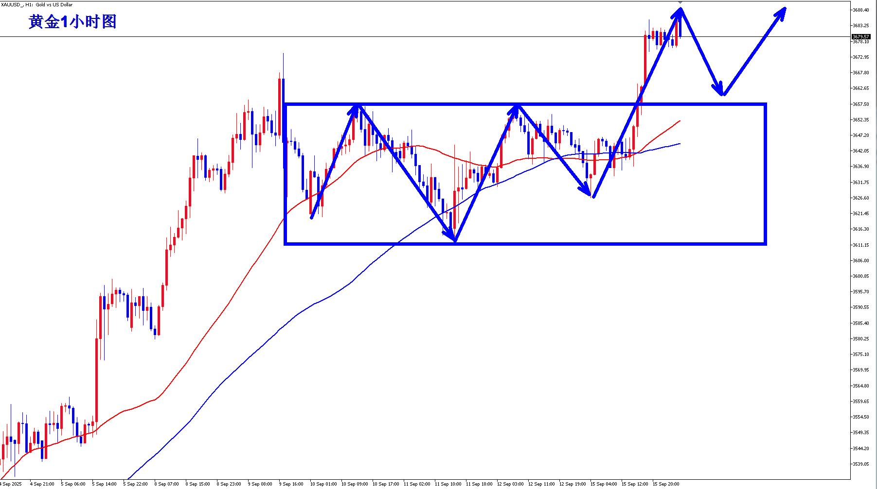【XM外汇平台】：黄金再创历史新高，早盘回落继续多！(图3)