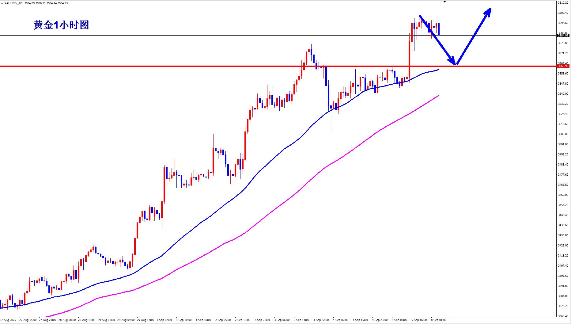 【XM外汇决策分析】：黄金牛市还未结束，早盘回落继续多！(图1)