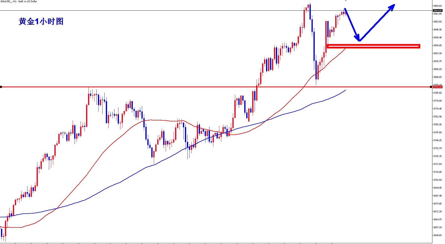 【XM外汇决策分析】：黄金单日洗盘，牛市还将继续！(图1)